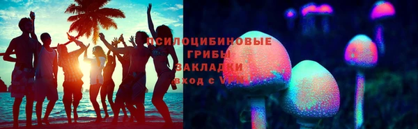 прущие грибы Богданович