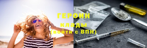 прущие грибы Богданович