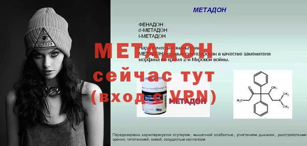 прущие грибы Богданович