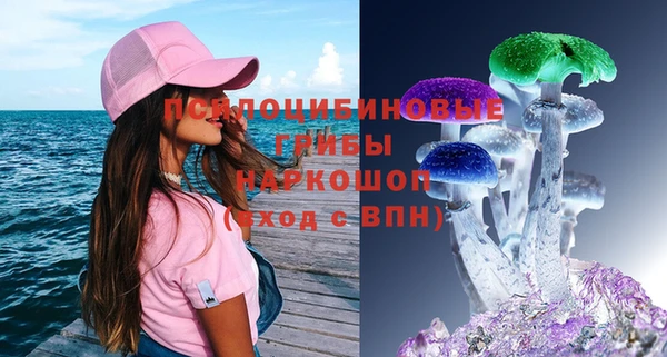 СК Богородицк