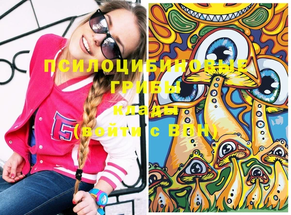 СК Богородицк