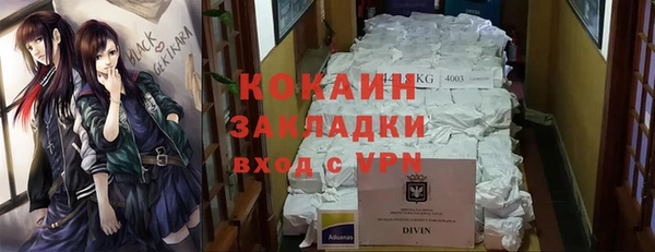 прущие грибы Богданович
